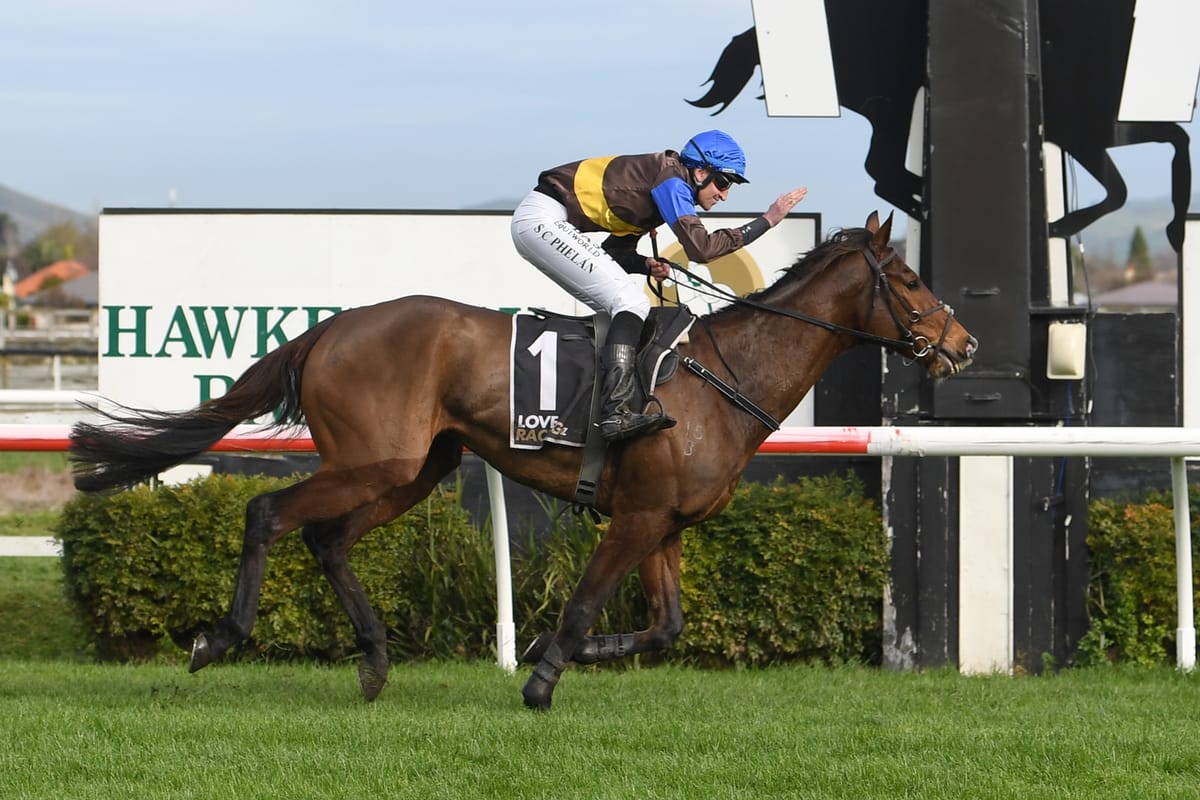 Local trainers dominate Hastings card