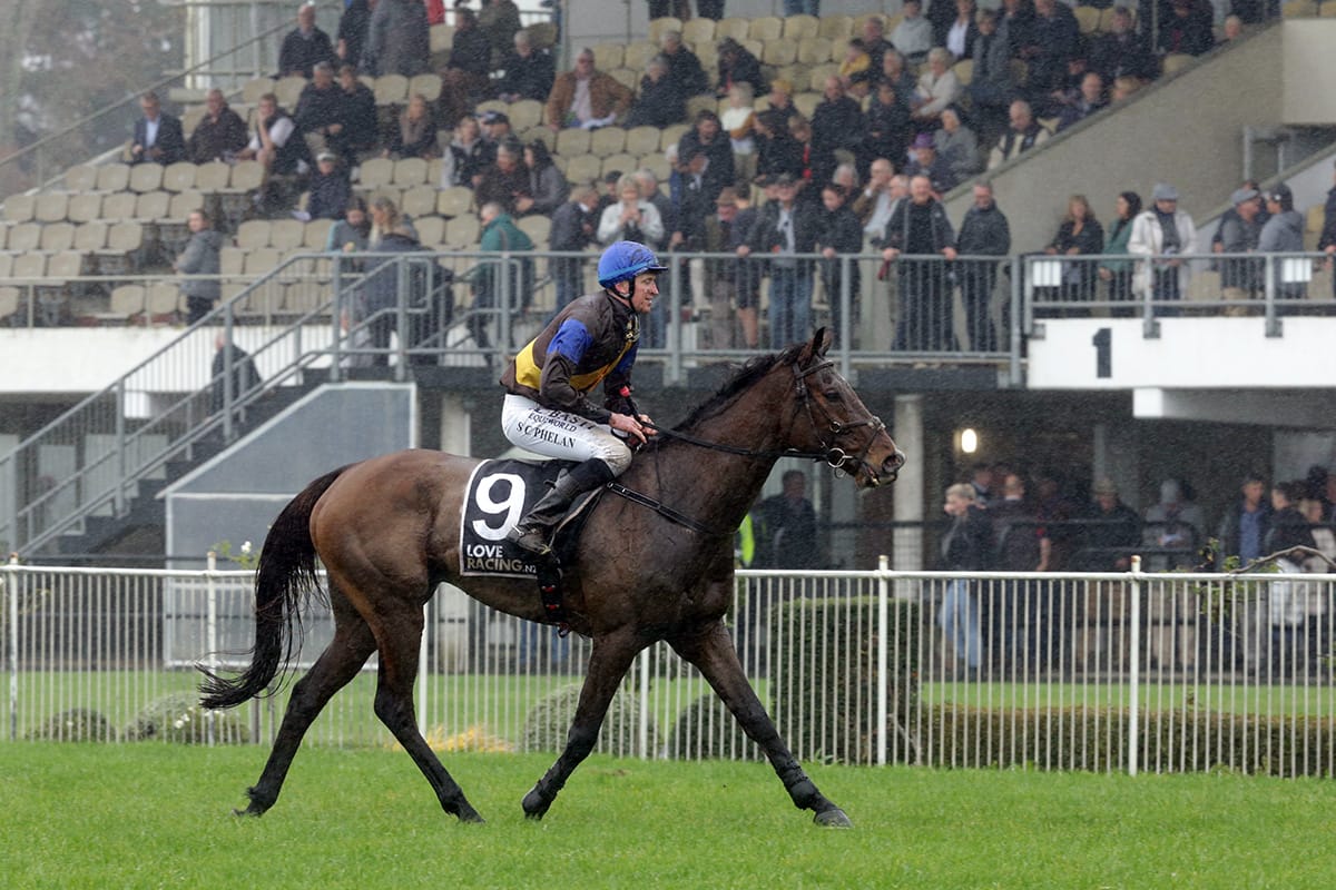 Phelan brings up career milestone at Te Rapa