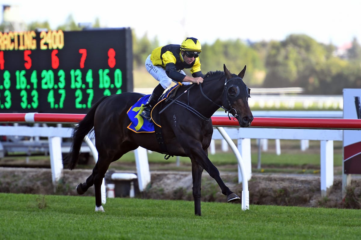 Grylls adds another Brisbane trip to busy schedule