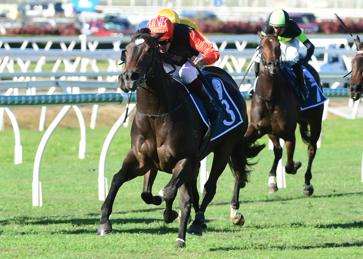 Savabeel filly impresses at first start for Golan