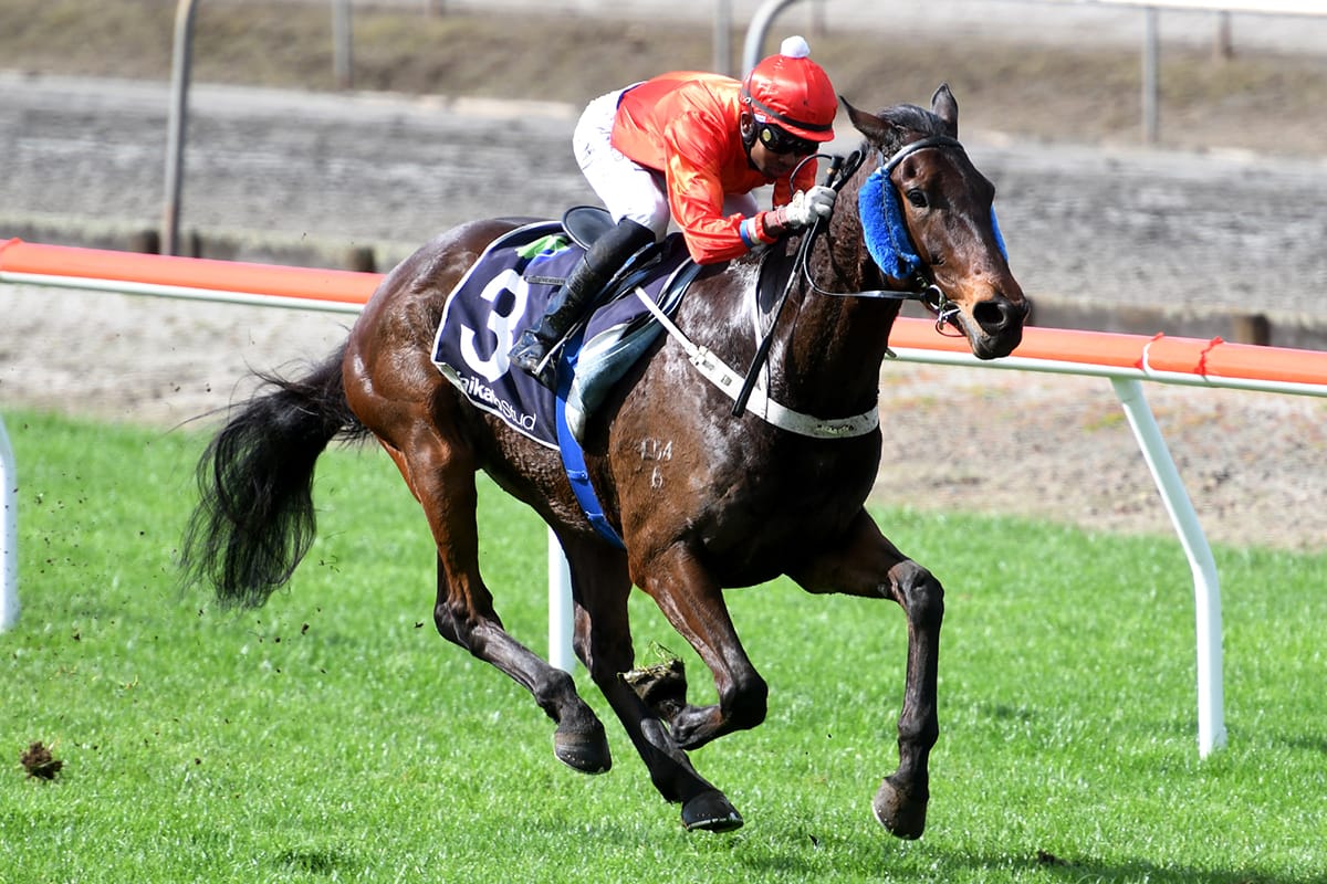 Bergerson trio on song for Trentham