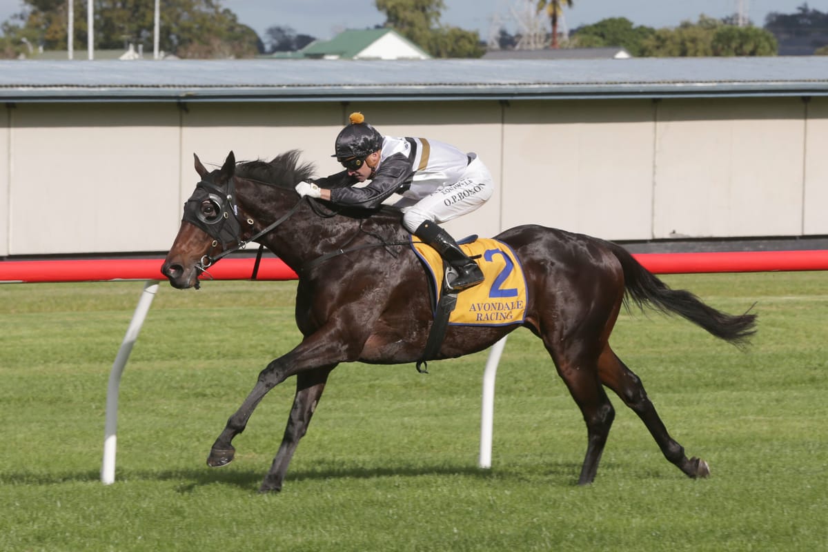 Forsman holding winter ace