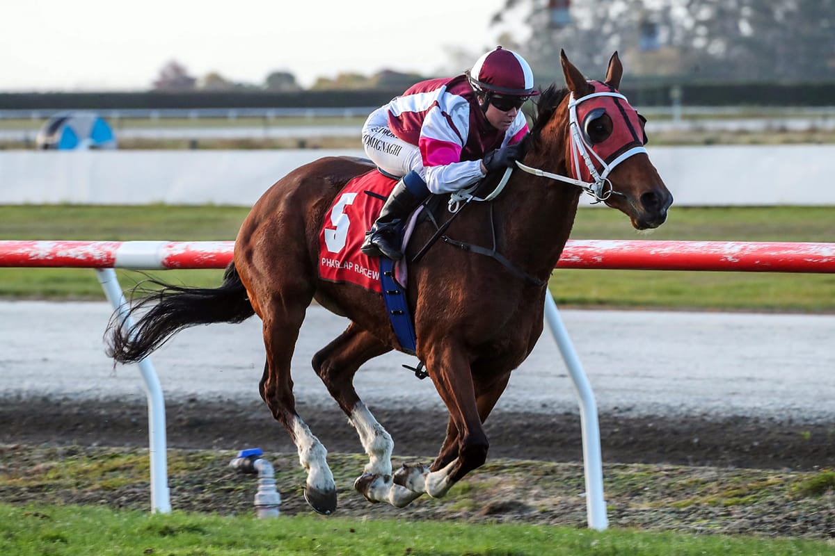 Stewart defends Waimate Cup title on eve of 90th birthday