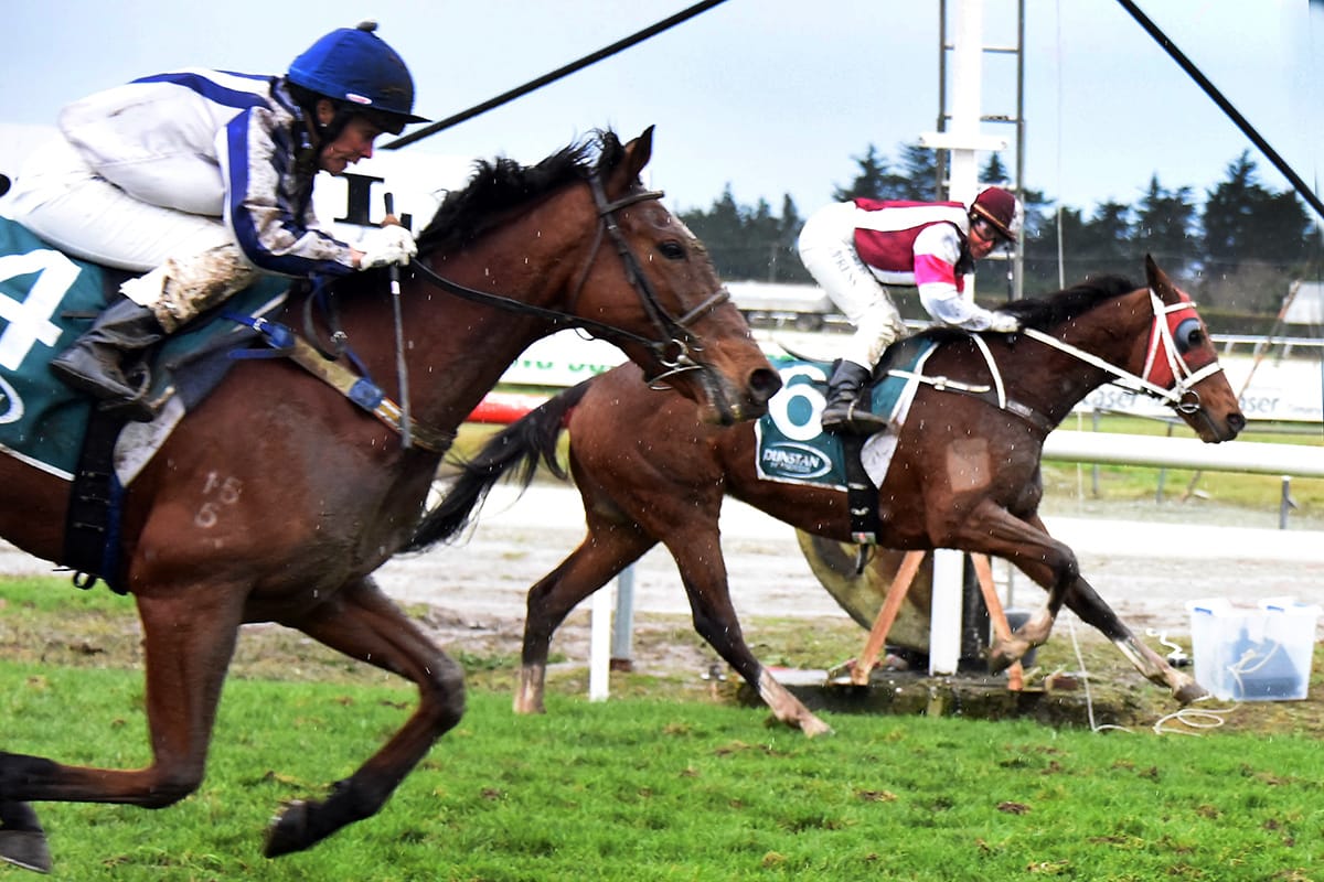 Vague provides trainer with early birthday present in Waimate Cup