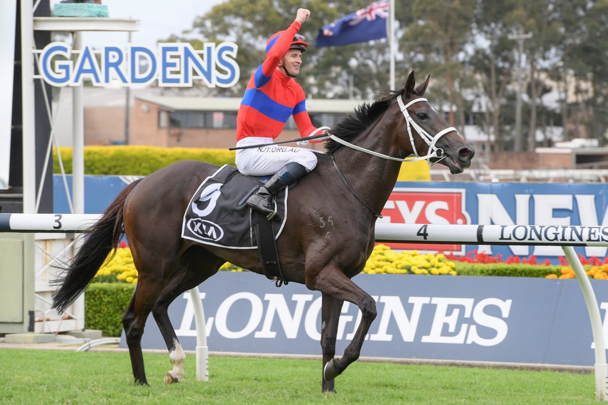 Verry Elleegant nearing European debut