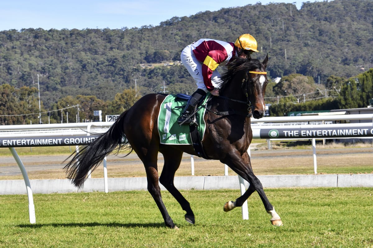 Aramis takes out the Grafton Guineas 