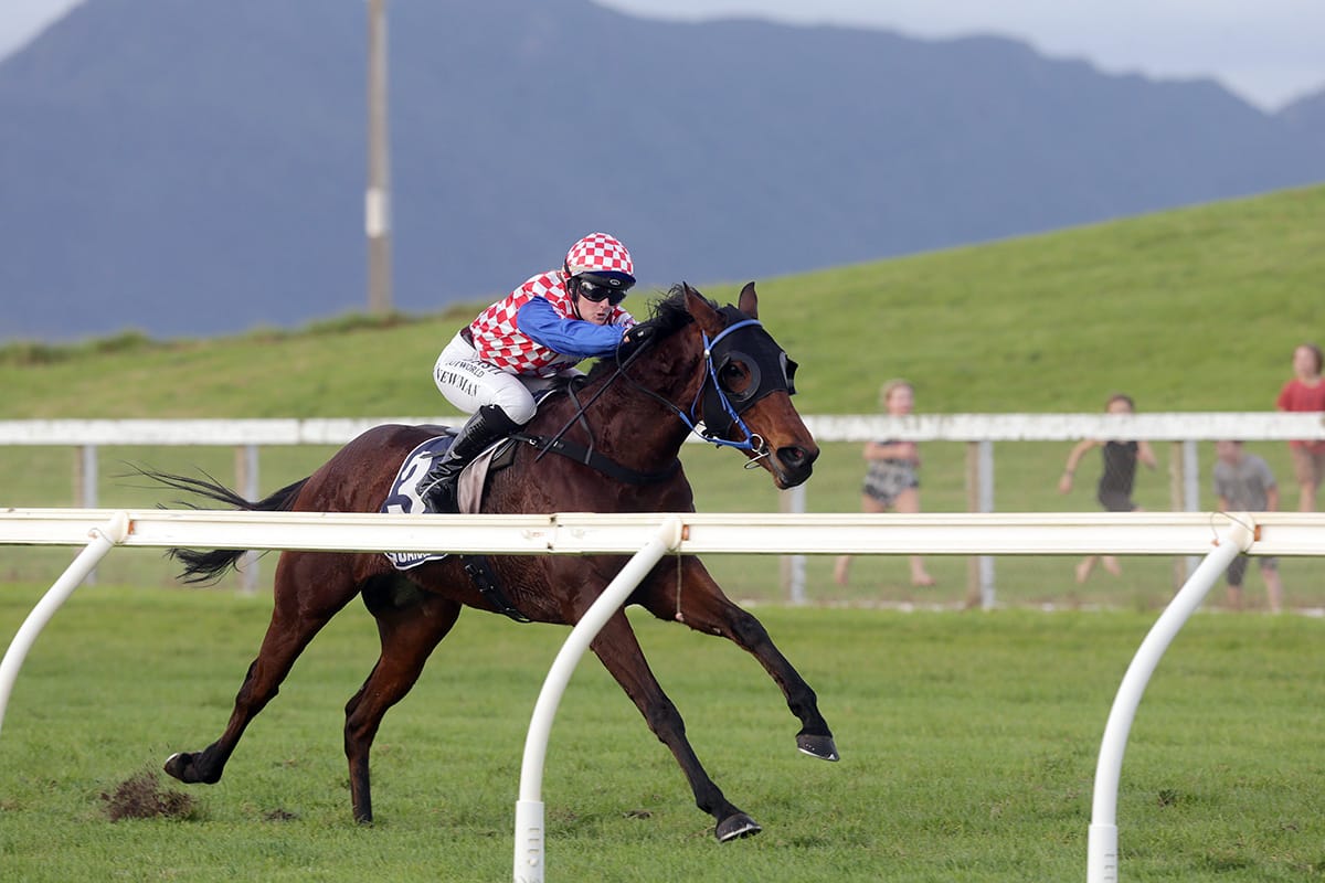 Newman brings up century of wins with Ruakaka double