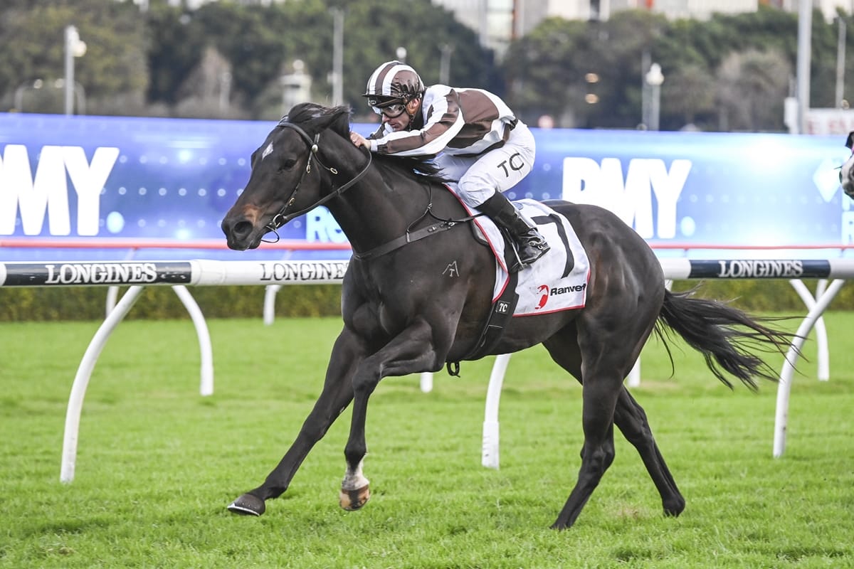 Cross Talk impresses at Randwick