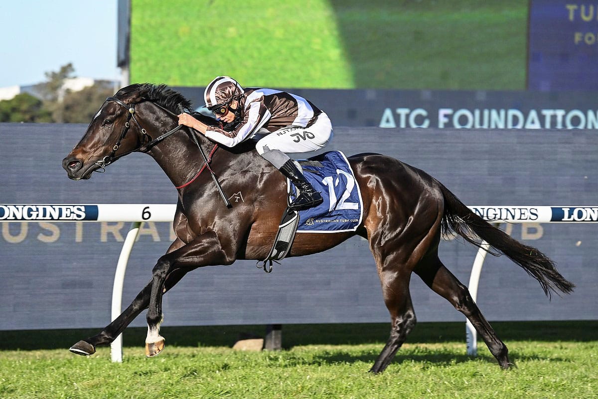 Cross Talk steps up to the big time