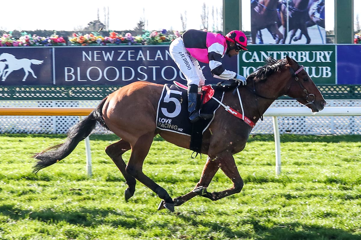 Auckland Cup dream back on with Dunhill
