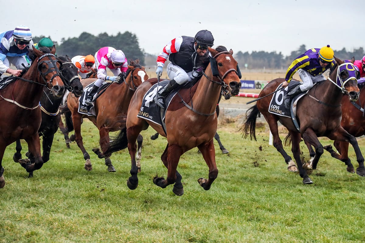 Firoden wins Winter Cup trial