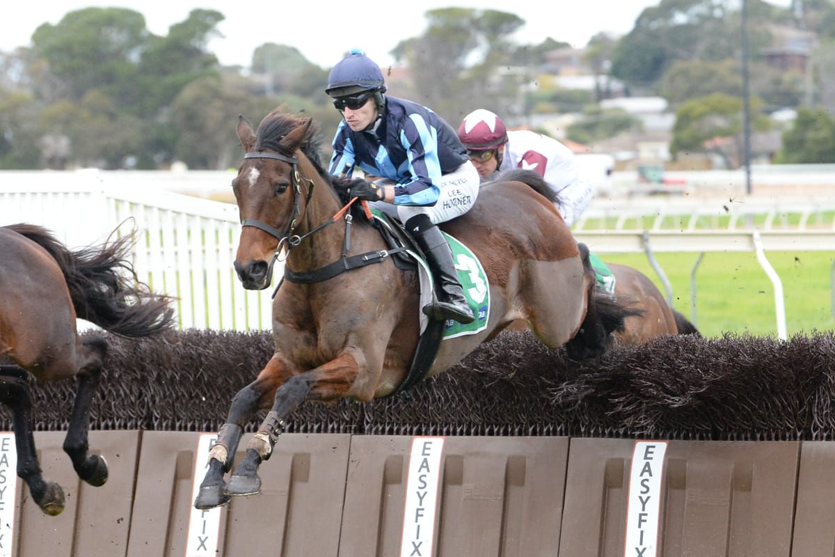 Kiwi-breds dominate Warrnambool jumping features