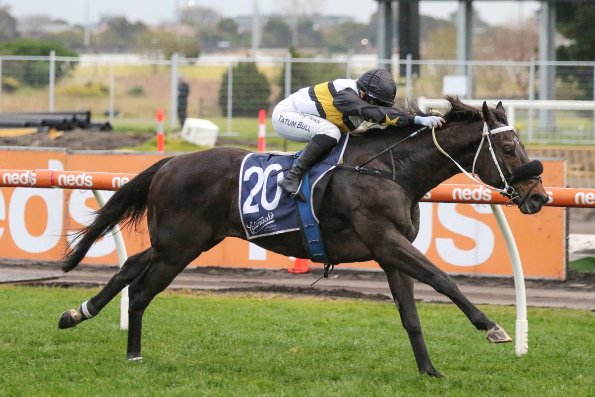 Shocking 4YO provides Bull with first
