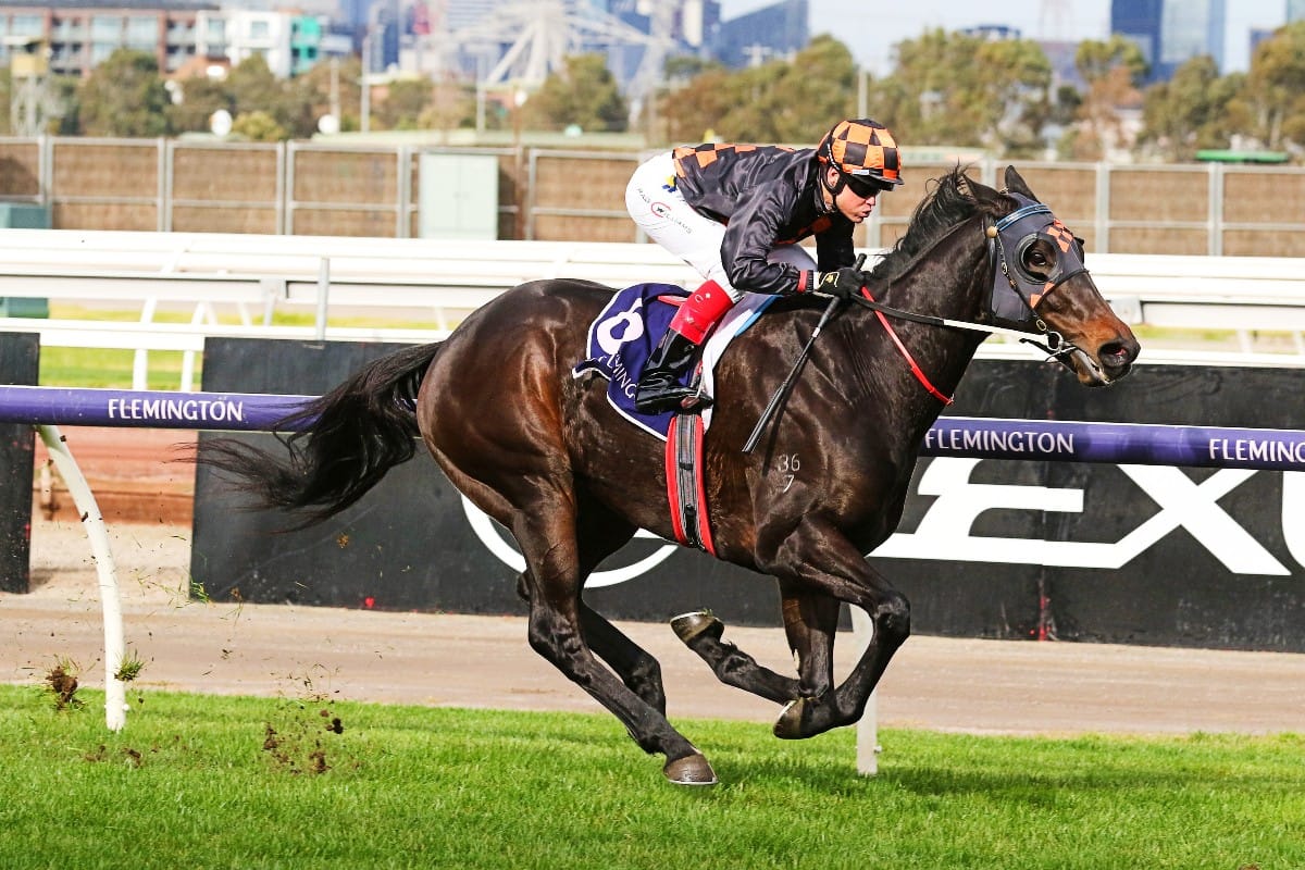 Horrifying follows in sire’s Flemington footsteps