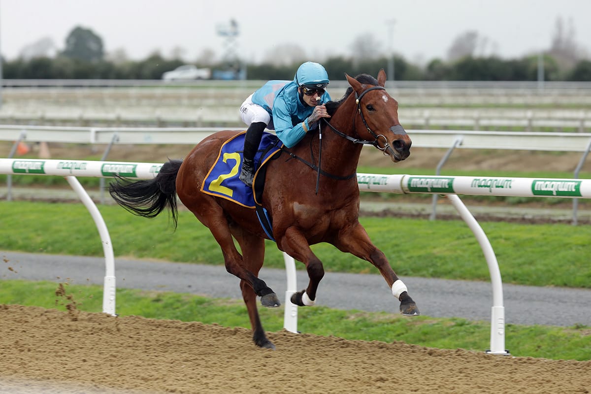 Harris makes winning return