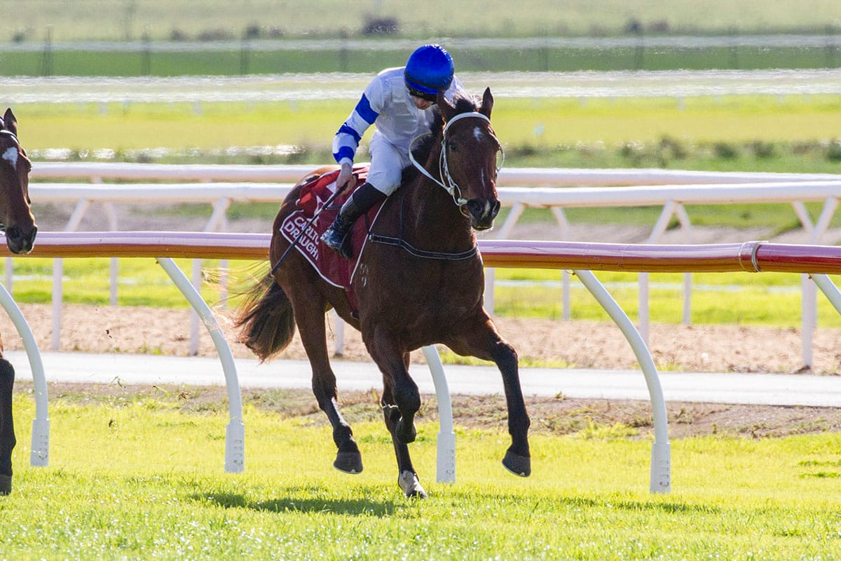 Klabel in winning debut