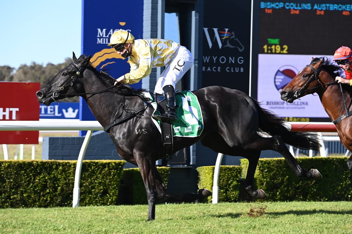 Major Beel latest 2YO winner from Waikato Stud family