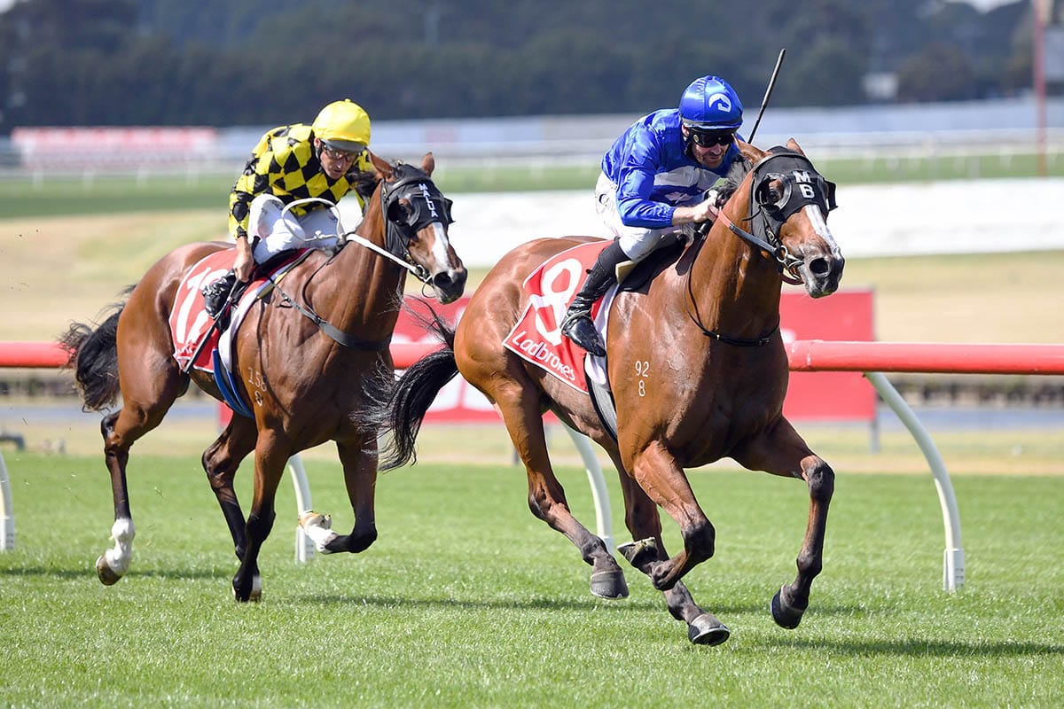 Brown's Turn this spring?