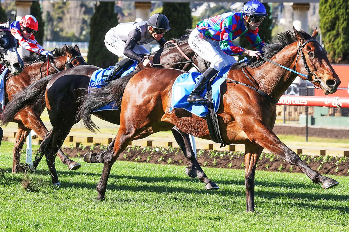 Two-from-two for Shock ‘Em Ova