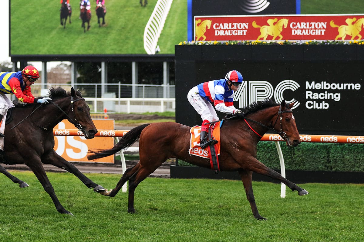 Sing for Peace gets second wind