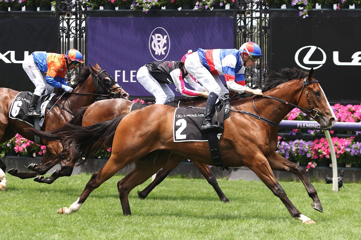 Squid Game thriving ahead of Flemington