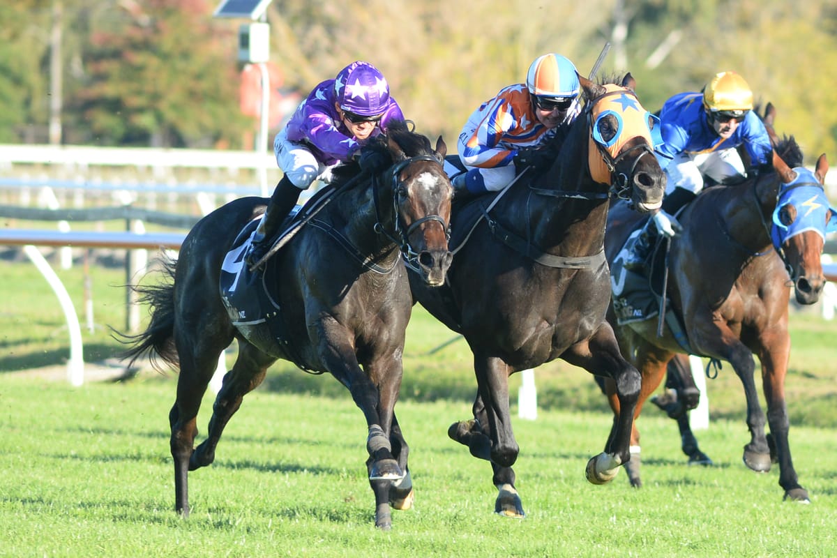 Caloundra Cup tilt for Swords Drawn