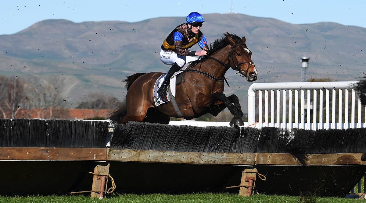 Australian focus for Nelson this weekend