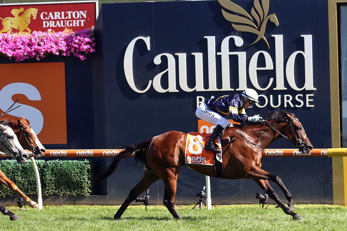 Moroney farewells 'super' Tofane