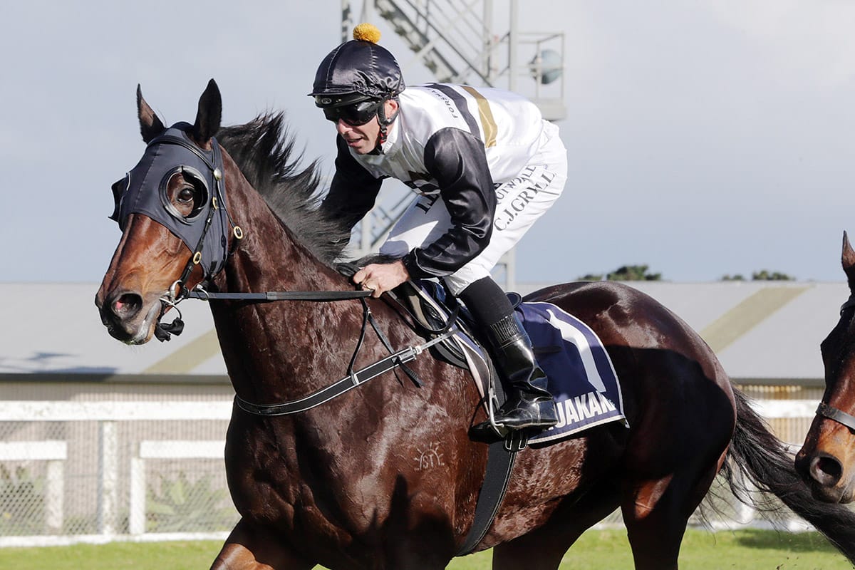 Turn The Ace relishes distance rise