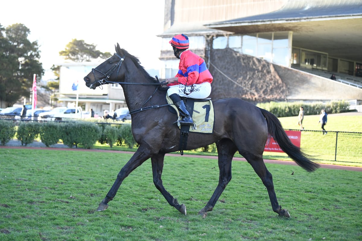 Winter Cup tilt likely for Verry Flash