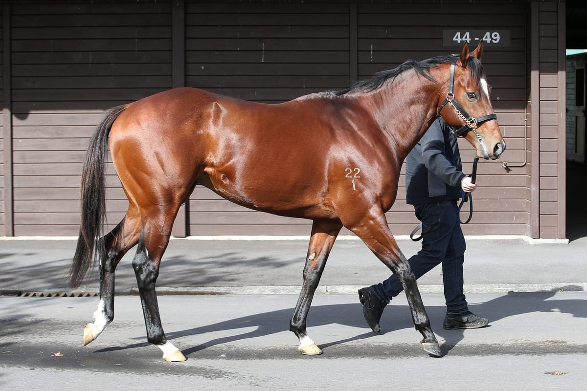 Vespa and Savile Row to Mapperley Stud