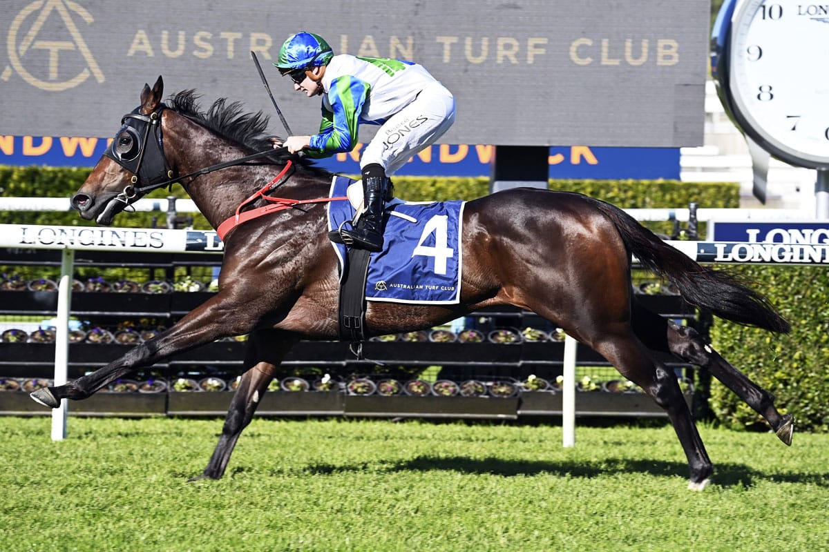 <strong>Waihaha Falls hunting million dollar feature</strong>