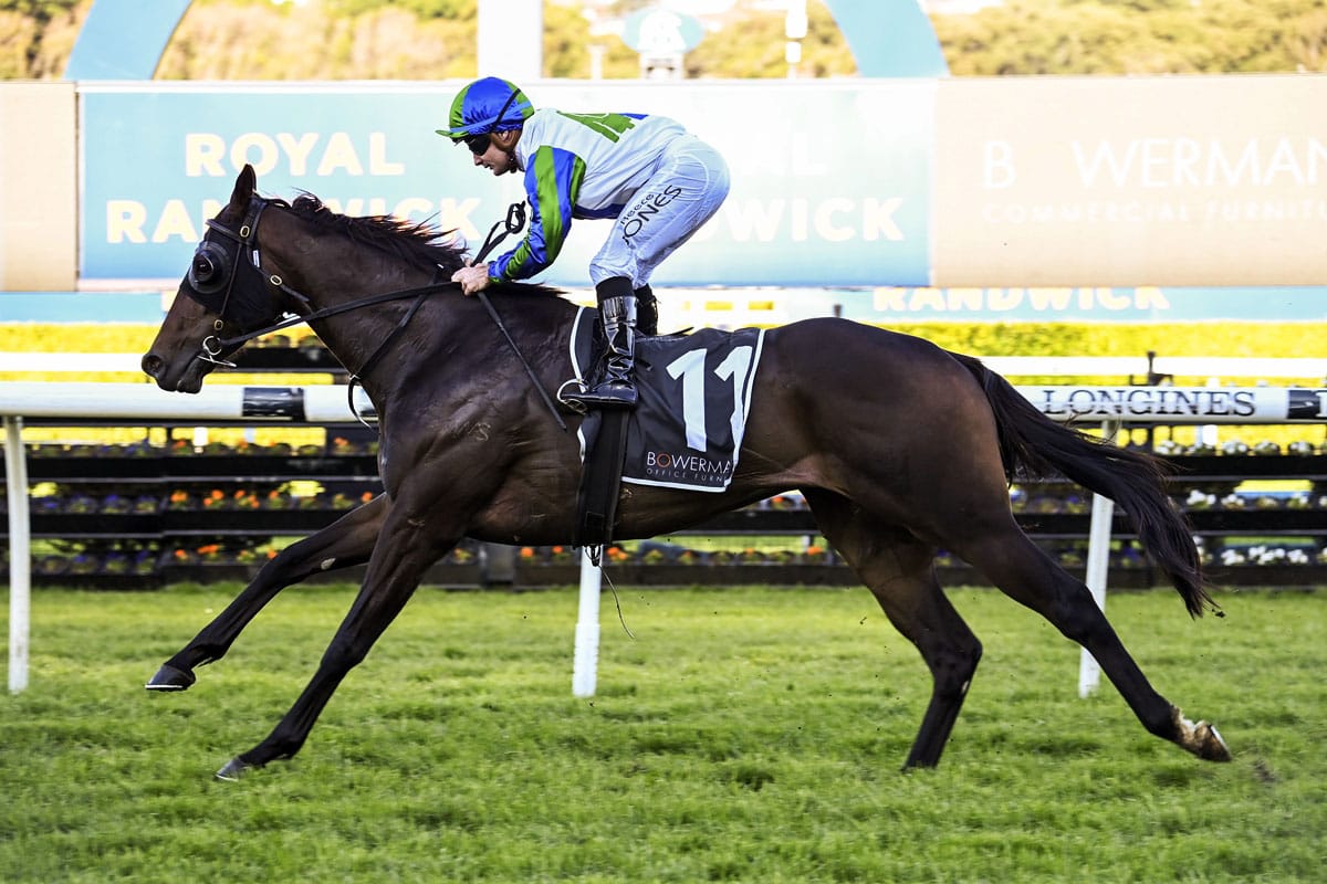 Waihaha Falls primed for stakes test