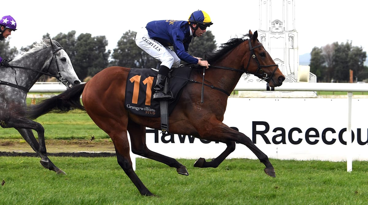 Impressive Hawera maiden winner no accident