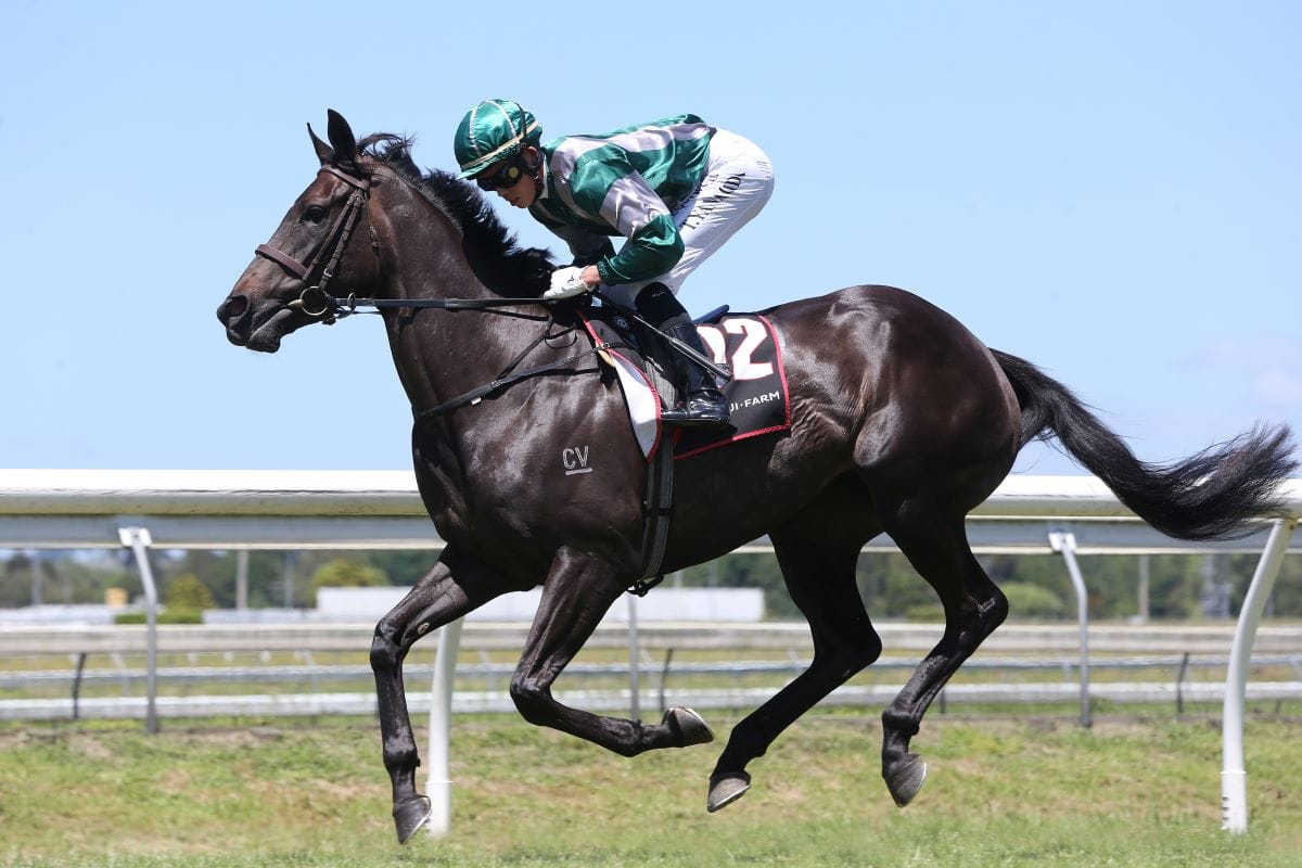 Balmerino target for Bellatrix Black