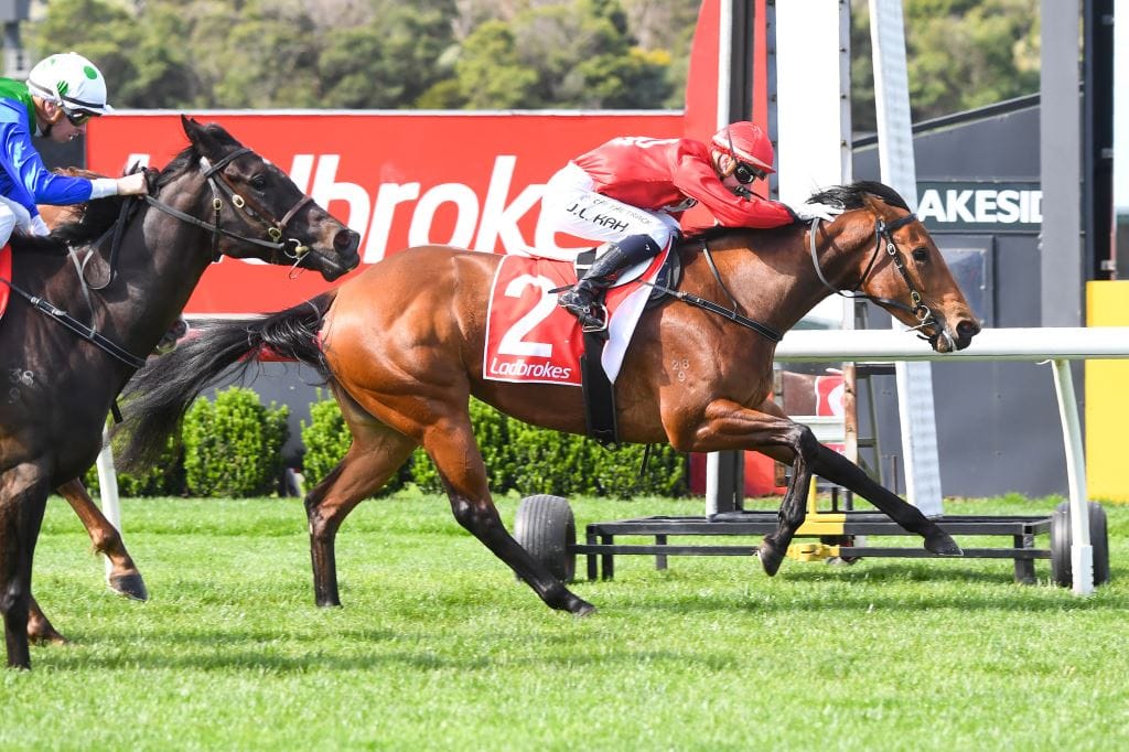 Hustler aiming at Guineas