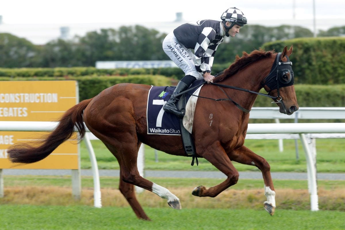 Tarzino unlikely for Sharrock trio