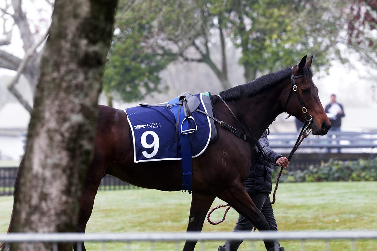 Tarzino target for Catalyst