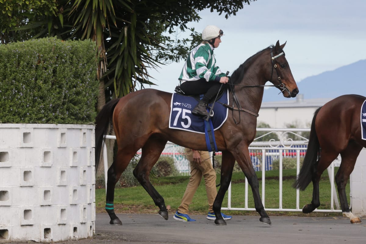 Another Derby win, Cheers Brothers￼