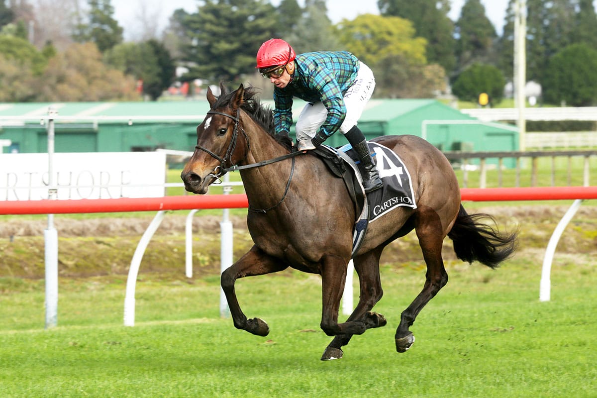 Gerard hoping to pop stakes Cork on Saturday