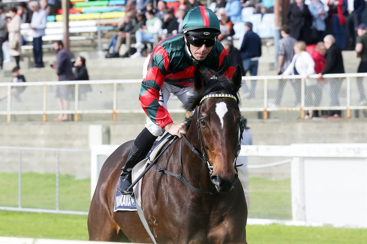 Dragon Leap retires with supreme send-off