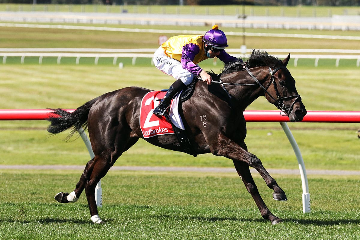 PB Lawrence first-up for Elephant