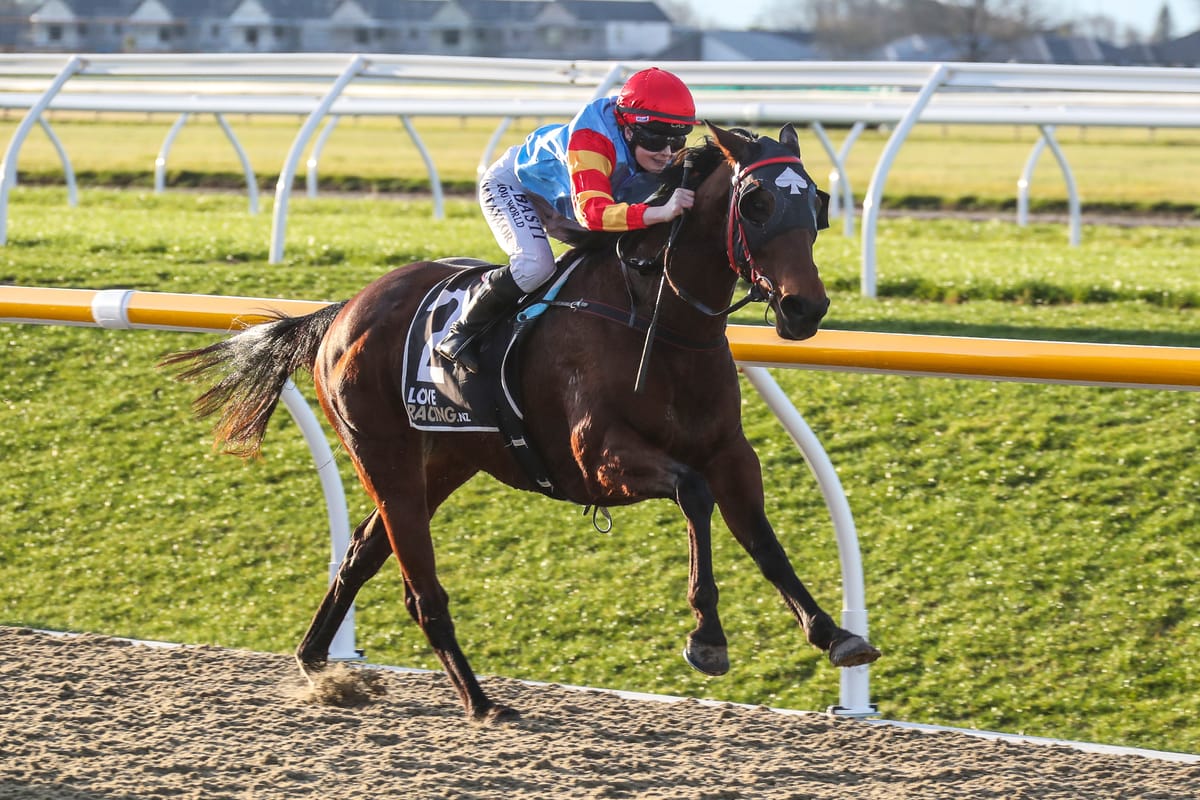 Didham ready to rock in solo career￼