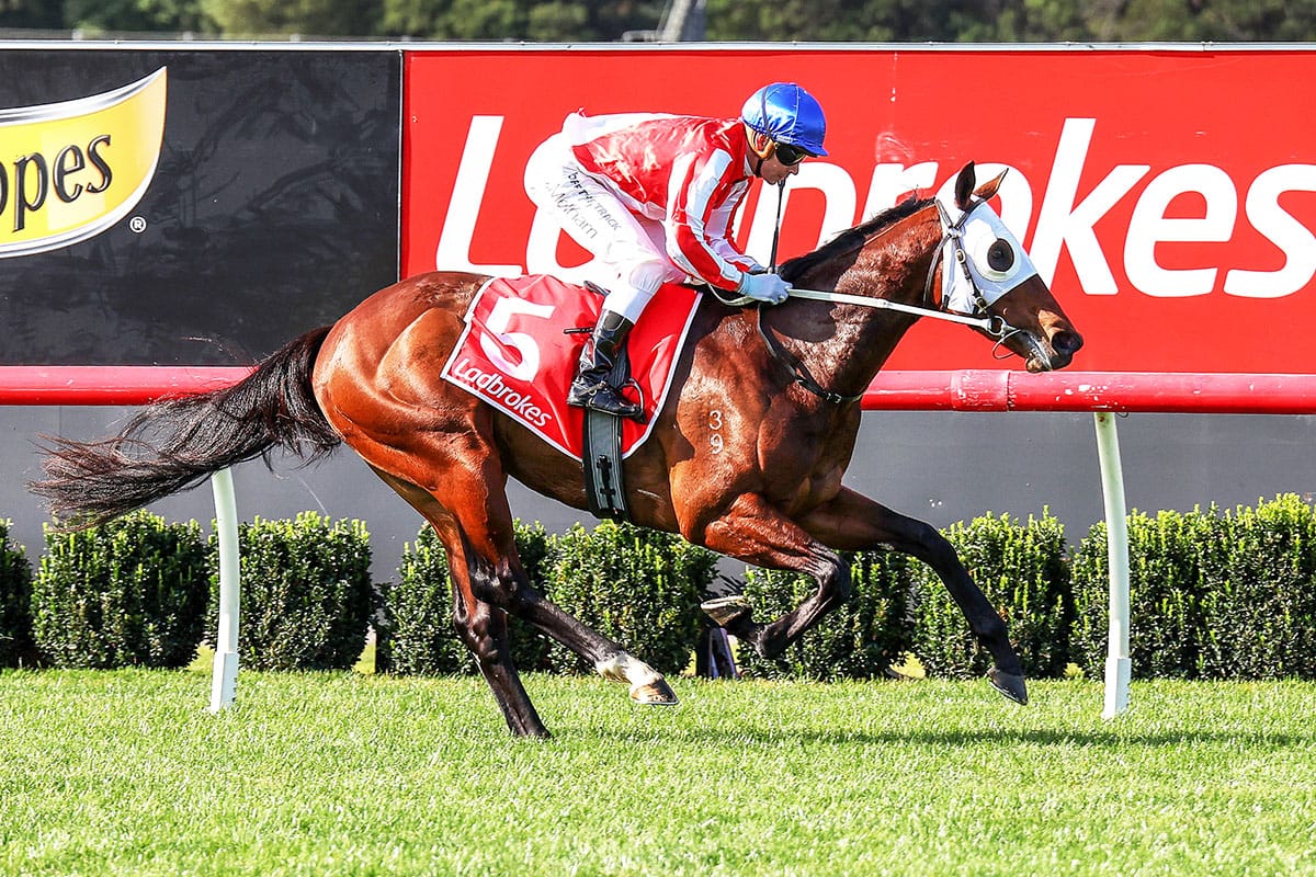 Satono Aladdin colt remains unbeaten