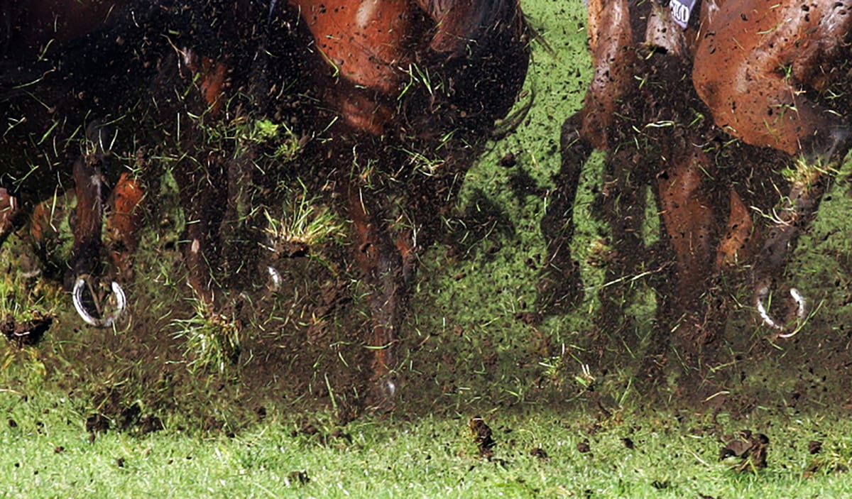 New Plymouth meeting abandoned