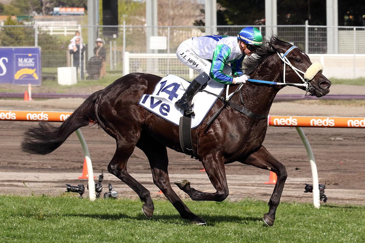 I Wish I Win stars on Australian debut