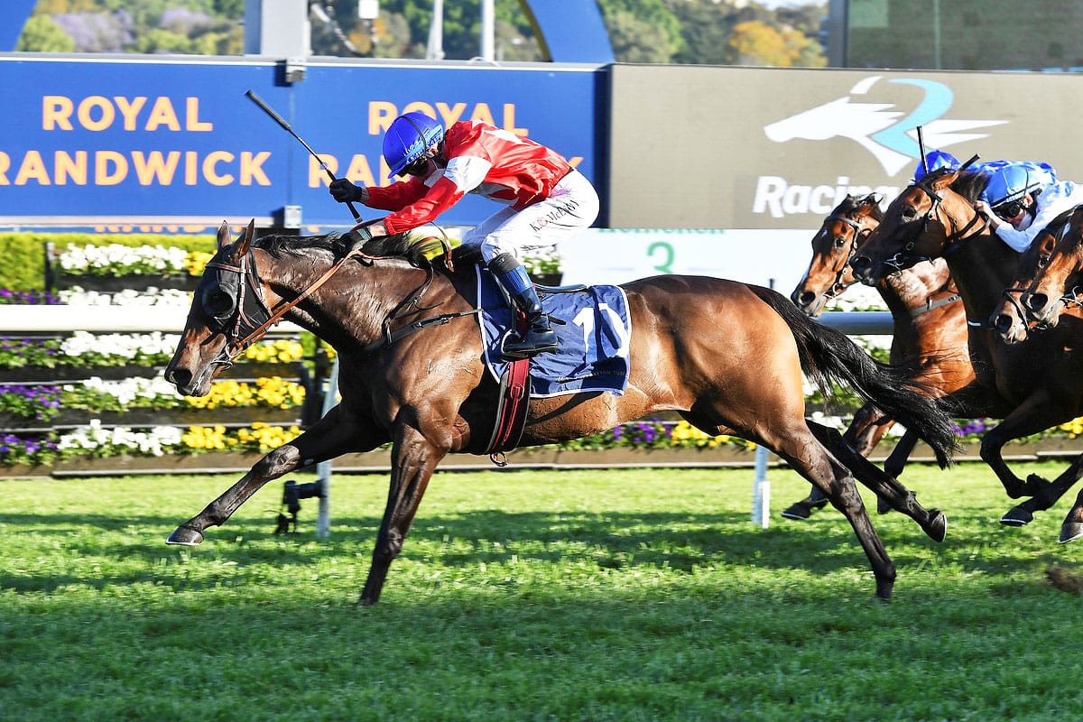 Icebath looking for Invitation this spring