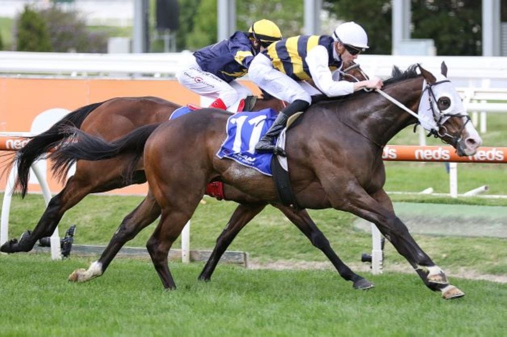 Memsie first-up for I’m Thunderstruck