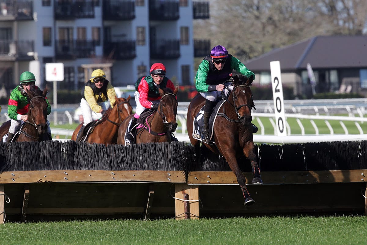 Kajino proving to be a bargain buy for Kennedy