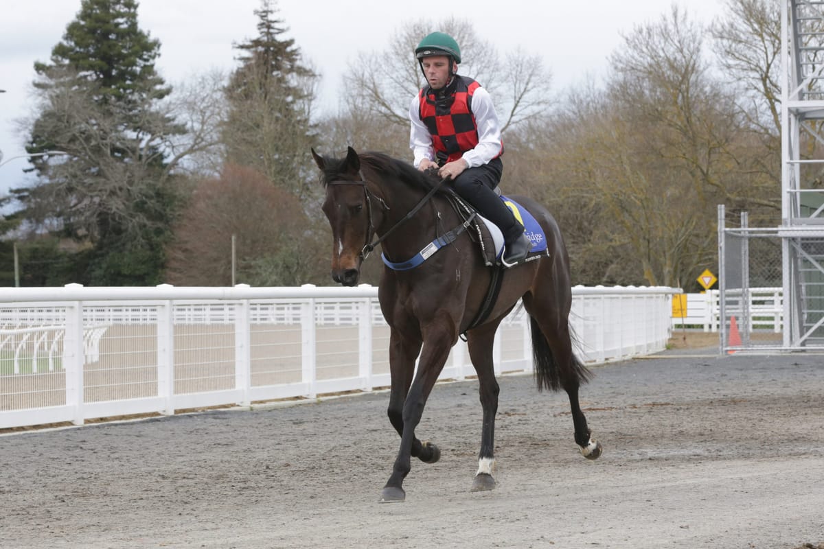 Impressive La Crique on track for Tarzino